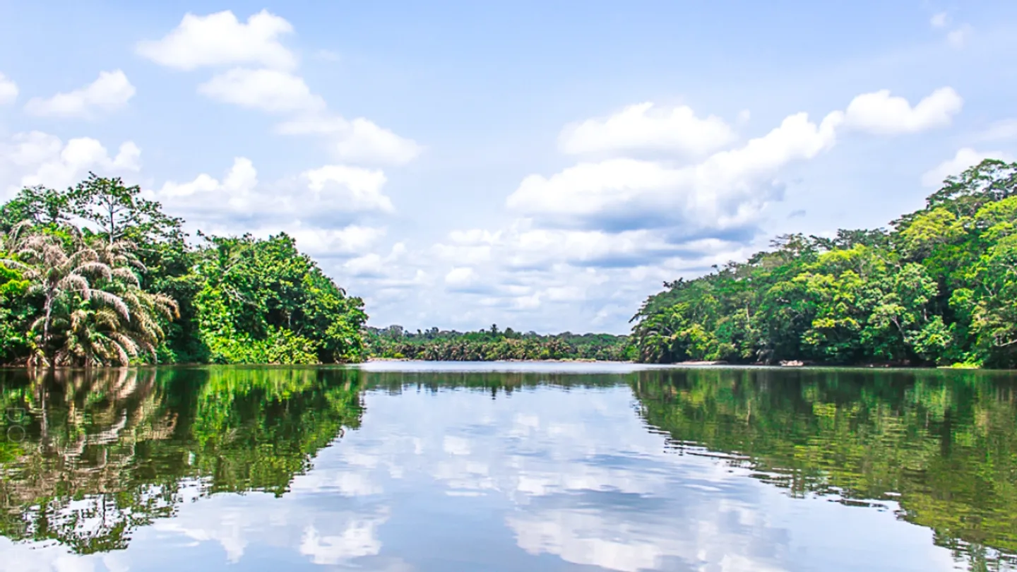 Decades of activist’s work results in S.Leone World Heritage site