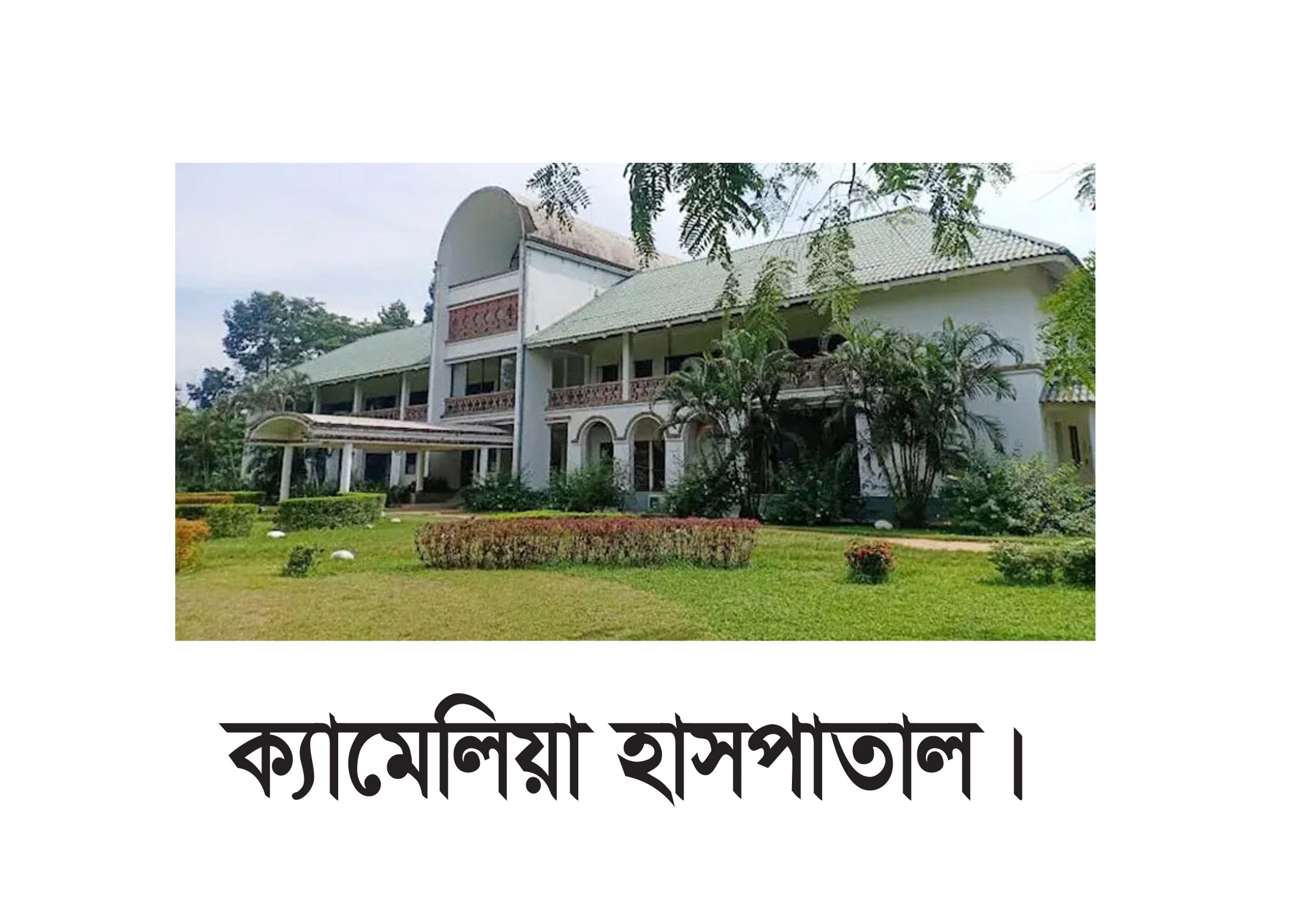 Various irregularities in issuing licenses at Sylhet BRTA office