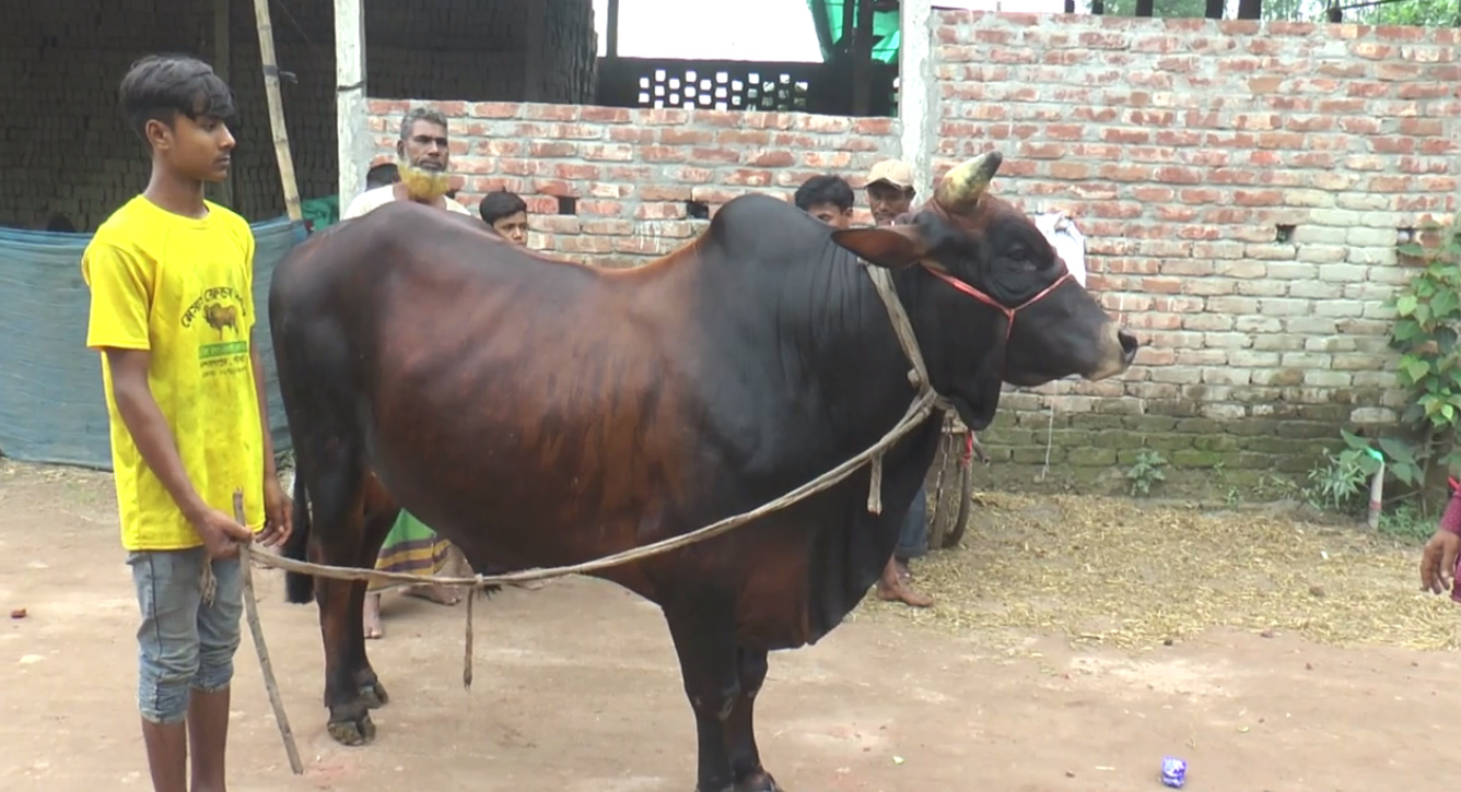 Gaibandha’s Lal Bahadur and Pahari Palwan are catching everyone’s attention