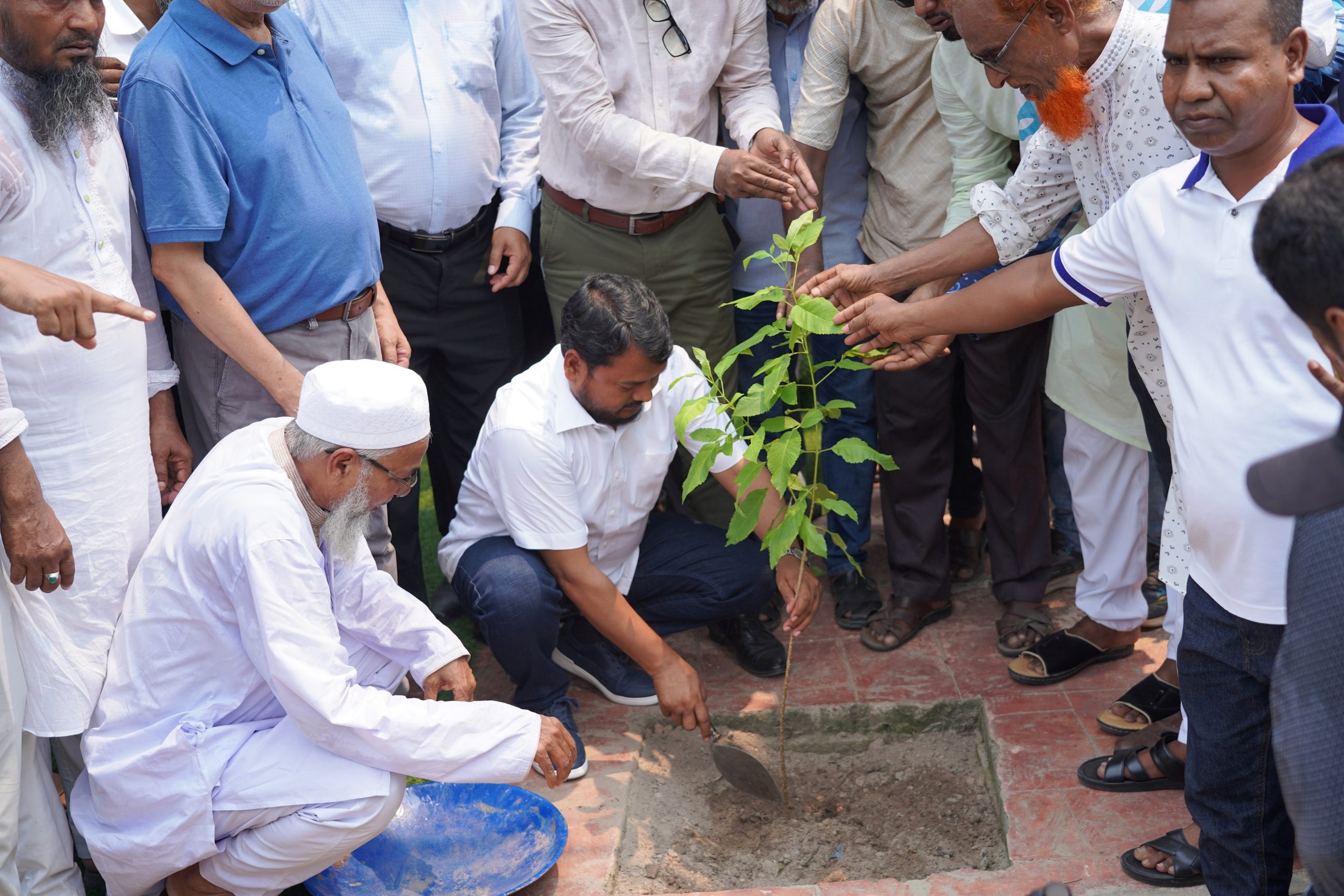 Target to plant 250,000 trees in Rajshahi The RASIC Administrator inaugurated the tree plantation program