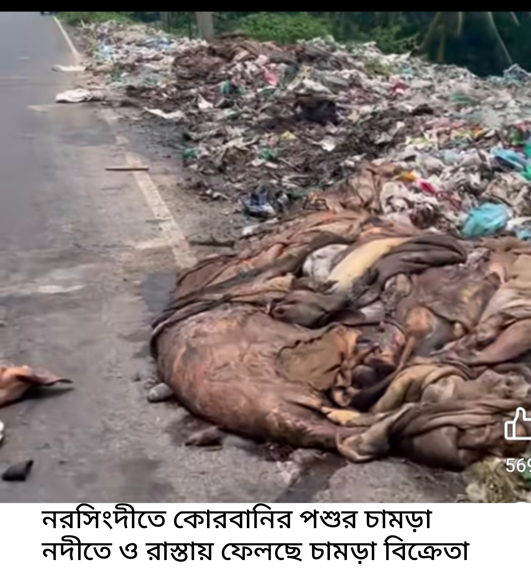 Narsingdi: Accusations of throwing sacrificial animal skins on the roadside, in the river after not getting a fair price, concerns about the environment