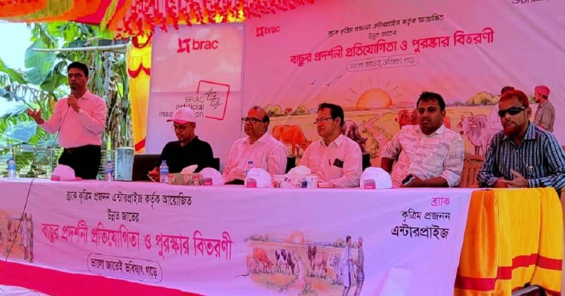 Improved varieties for marginal farmers in Thakurgaon Calf Show Competition and Award Ceremony