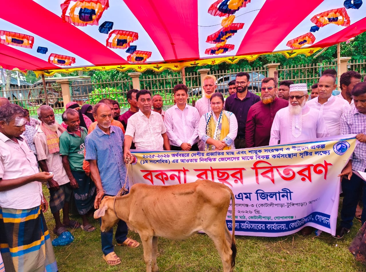 60 marginal fishermen in Kotalipara receive Bakna calves, new hope for alternative income