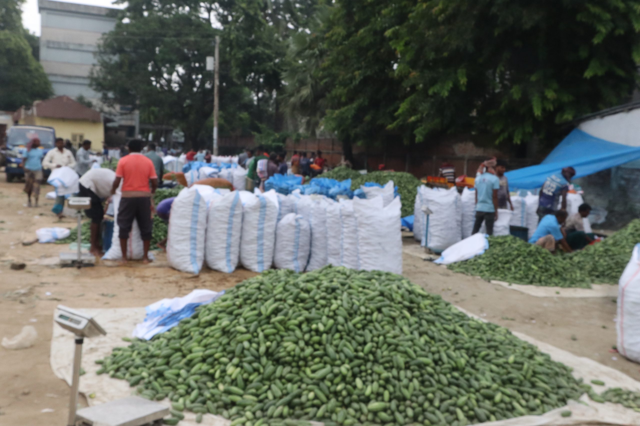 Allegations of irregularities at the Khas Adhaya Haat in Badalgachhi, fear of government revenue loss