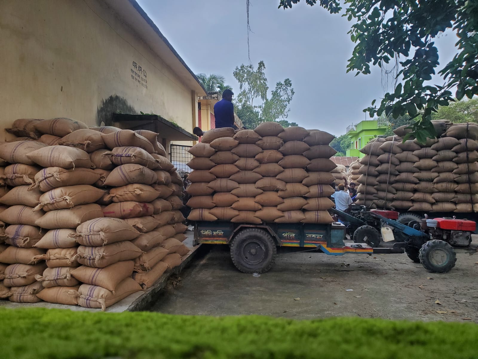 Real farmers are deprived of selling paddy at Nageshwari food warehouse