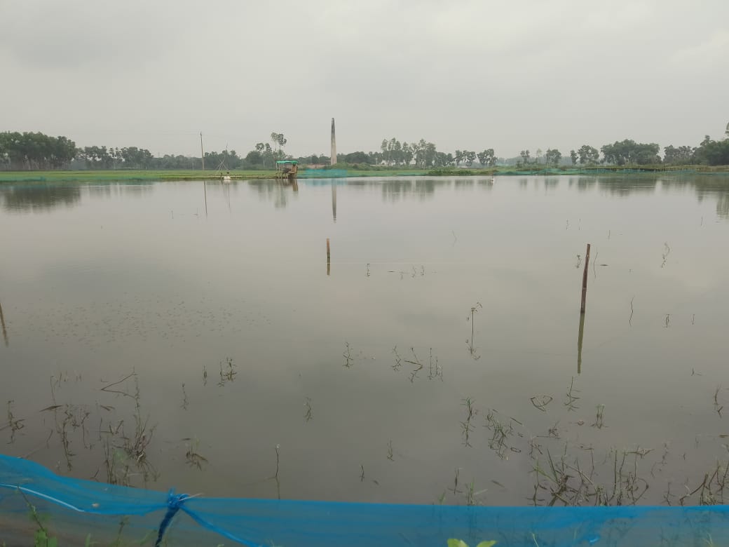 Allegations of occupying a private pond without a lease, collecting Tk 93,000 without a receipt