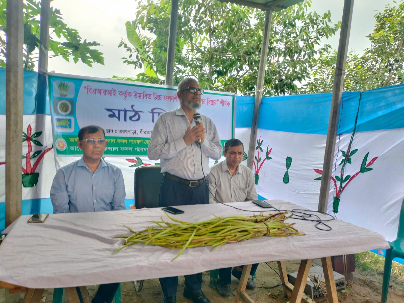 Field Day on Dissemination of Improved Taro Varieties Held at BARI