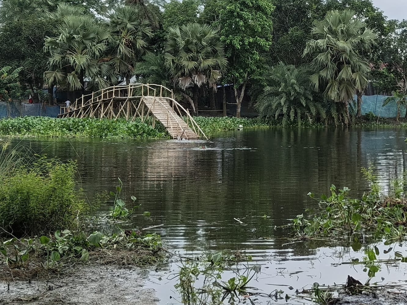 70-80 students unable to go to school for five months due to lack of bridge