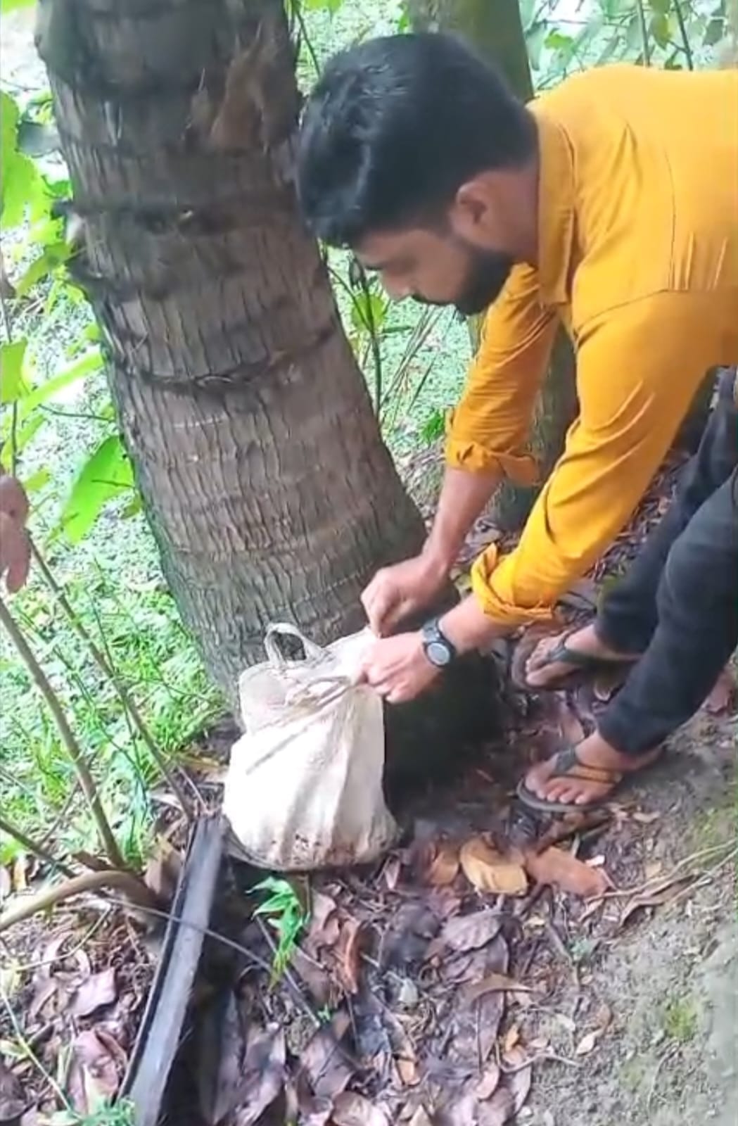 Newborn baby rescued in bag, with numerous ants all over body