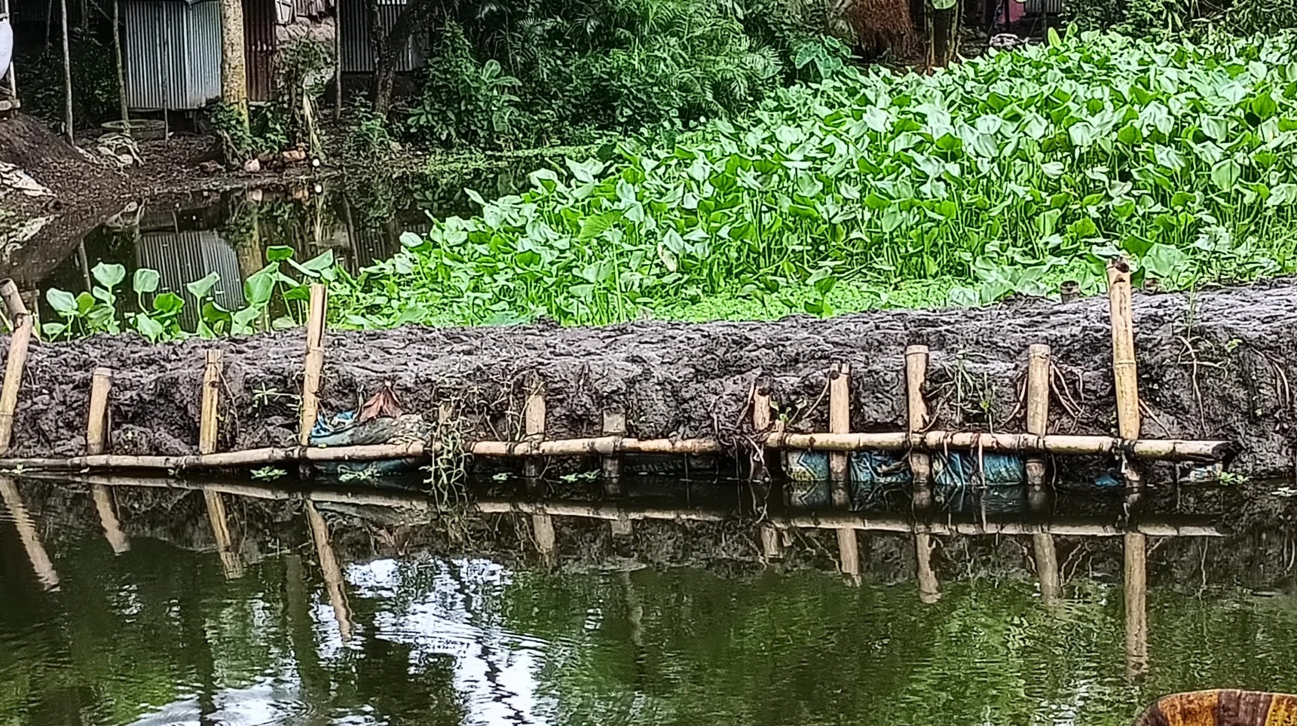 Fish enclosures encroaching on government canals in Kotalipara, homes under threat: Victims do not get redress despite complaining to government offices