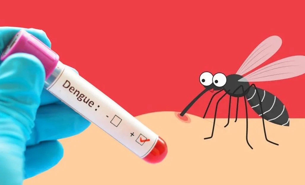 No death from dengue in 24 hours