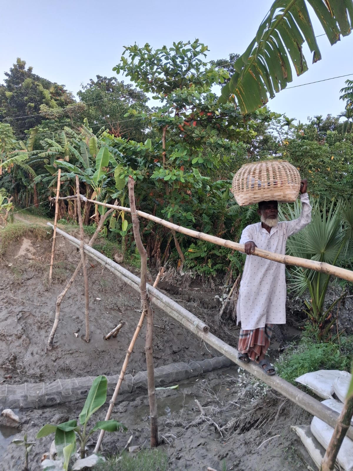 Bamboo bridge is the only hope: Thousands of people suffer greatly due to road collapse in Kamalnagar, demand for construction of bridge or culvert